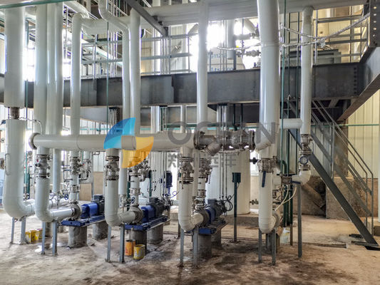 रेपसीड्स ऑयल प्रीट्रीटमेंट प्लांट ऑयल सीड्स प्रोसेसिंग 30-1500TPD